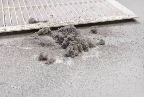 Best Local Air Duct Cleaning Services  in Kellogg, ID