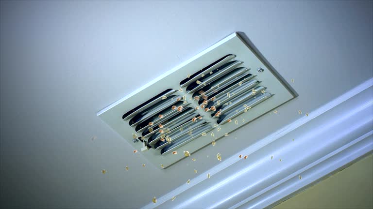 Best HVAC Duct Inspection Services  in Kellogg, ID
