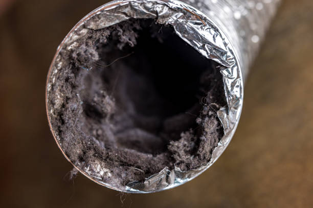 Best Home Air Vent Cleaning  in Kellogg, ID