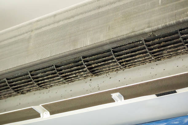 Best Affordable Air Duct Cleaning  in Kellogg, ID